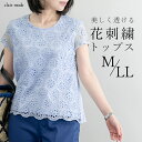 ★割引クーポンあり★【送料無料/再入荷】 花柄レース刺繍カットソー 5色 M-LL 洗える 半袖 レディースファッション トップス オケージョン Tシャツ イン...