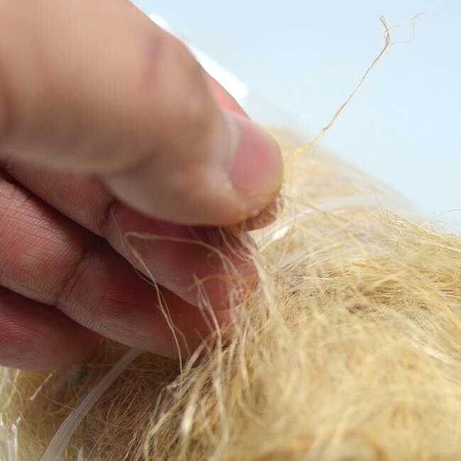 ��Bush Craft �֥å��奯��ե� ��βи� (�ۤ���) �� ʲ���� �Ф����� ������ �����ȥɥ� ��