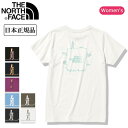 楽天Clapper★THE NORTH FACE ノースフェイス S/S Explore Source Circulation Tee ショートスリーブエクスプロールソースサーキュレーションティー NTW32392 【 半袖 レディース ウィメンズ Tシャツ アウトドア 日本正規品 】【メール便・代引不可】