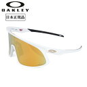 【クーポン配布中】★OAKLEY オークリー RSLV アールエスエル...(4)