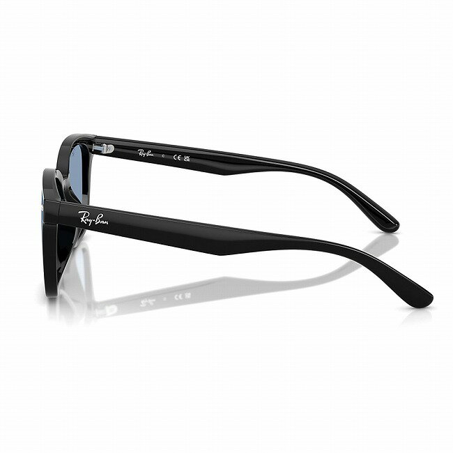 【9日20:00〜16日1:59 限定クーポン配布中】★Ray-Ban レイバン RB4461D 601/80 64 【 日本正規品 サングラス ローブリッジフィット 運転 ドライブ 紫外線 UV アウトドア 】 3