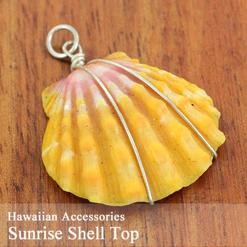在庫限定商品 希少 サンライズシェル トップ 22ピアス パーツ ハワイアン ハワイ諸島 雑貨 アクセサリー おしゃれ ギフト プレゼント フラダンス