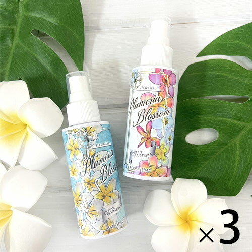 ϥ磻󻨲 Clara㤨֡٤3ܥåȡۥץꥢ 롼ߥ 롼ॹץ졼ե쥰 ϥ磻  ϥ磻  Kahiko ý ˧פβǤʤ4,246ߤˤʤޤ