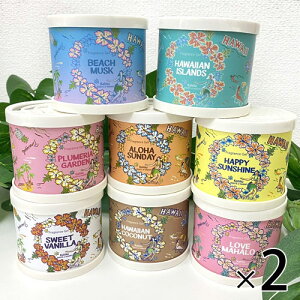 【選べる2個セット】GEL ゲル フレグランス 缶部屋 車内 癒し 香り 消臭 ハワイアン雑貨 ハワイ雑貨 ココナッツ プルメリア Kahiko ハワイ 芳香
