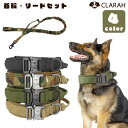 首輪 リード セット 犬 ペット 犬用 ドッグ 中型犬 大型犬 おさんぽ ネコポス送料無料