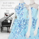 《フォーマル衣装》2WAY【裾上げ加工 】水色 花々 カラードレス 9-11号 (CLC5115) クラレナ 演奏会 ステージ衣装 ネックレス イヤリング付き【ドレス】 【洋装】【中古】 (USED品)(リサイクル)【cd9】【cd11】【cd13】