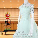 《フォーマル衣装》販売 クラレナの ネックレス イヤリング付き シルク地 ペールグリーン 大輪の花 カラードレス 9号 (CLC4864) 【中古】 (USED...