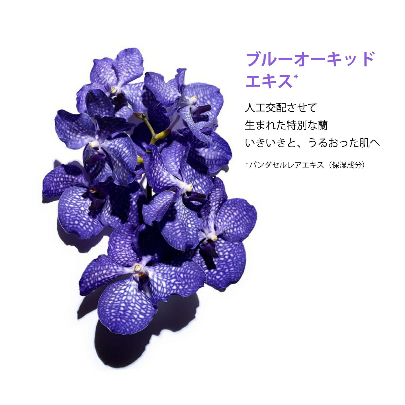 �ڸ����ۥץ��� �ե����� ������ �ǥϥ��ɥ쥤�ƥåɥ����� 30mL / CLARINS ������ / �ե����������� ��ʬ��­ �ݼ� ���å��󥷥�륪���� �ĥ�