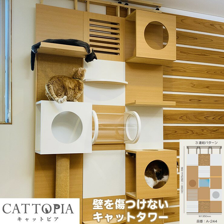 ڥ᡼ľ CATTOPIA 3Ϣ ȥͥդ A-244  åȥ åȥ ǭե ͤĥ꼰  