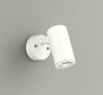 Rakuten - 屋外用スポットライト OG254353P1 オーデリック