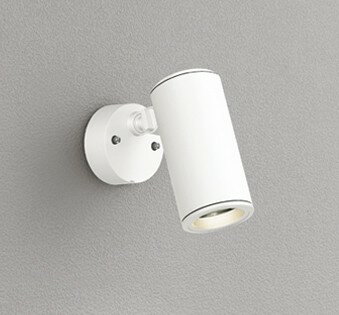 Rakuten - 屋外用スポットライト OG254943P1 オーデリック