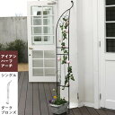 【メーカー直送】 屋外 おしゃれ 庭 アイアンハーフアーチ シングル ダークブロンズ IA-HF003DBZ アンティーク風 かわいい ガーデニング ※プランタ...