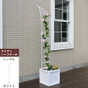 【メーカー直送】 屋外 おしゃれ 庭 アイアンハーフアーチ シングル ホワイト 白 IA-HF003WHT アンティーク風 かわいい ガーデニング ※プランター...