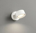オーデリック R15 スポットライト ホワイト 高演色LED 調色 調光 Bluetooth OS256569BCR