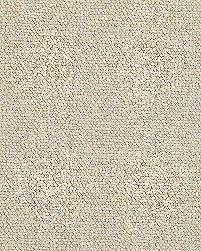 【メーカー直送】 カーペット ラグ マット 約382×382cm 本間8畳 アイボリー おしゃれ・防炎・防音・抗菌・ホットカーペット対応・床暖房対応・防ダニ・遊び毛が出にくい・お掃除ロボット対応・日本製 227248001 デイル Prevell 【メーカー直送】 カーペット ラグ マット 約382×382cm 本間8畳 アイボリー おしゃれ・防炎・防音・抗菌・ホットカーペット対応・床暖房対応・防ダニ・遊び毛が出にくい・お掃除ロボット対応・日本製 227248001 デイル Prevell