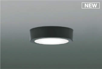 Designer'S Lightings - コイズミ 小型シーリングライト ブラック LED(昼白色) AH52296