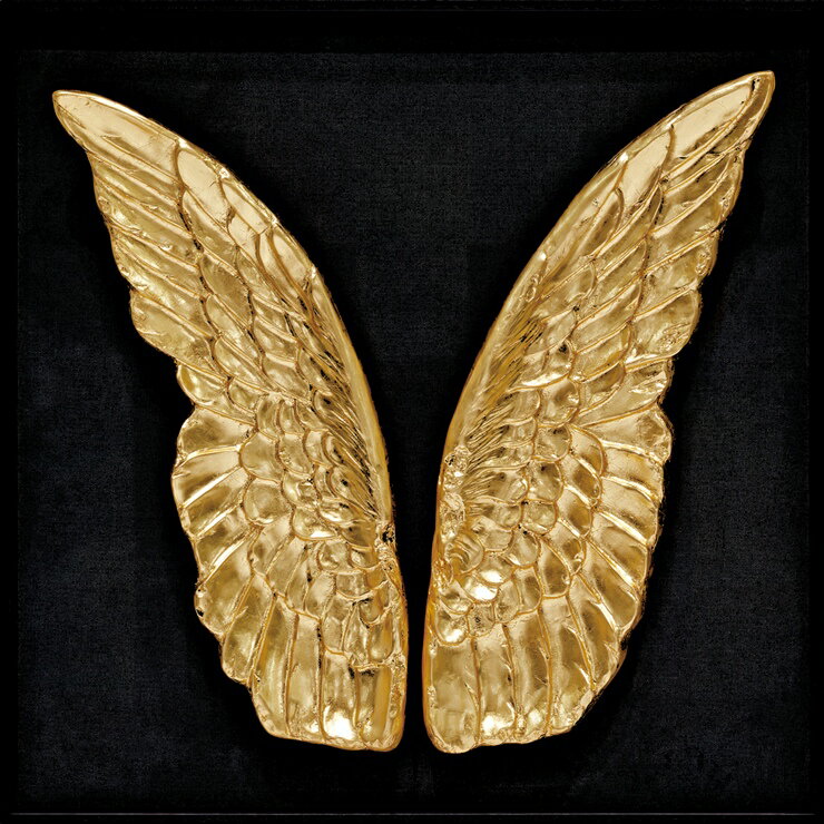 アートパネル 立体アート おしゃれ 額縁 エムエス デコアート「ゴールド ウィングス」 MS-38502 羽根 ..