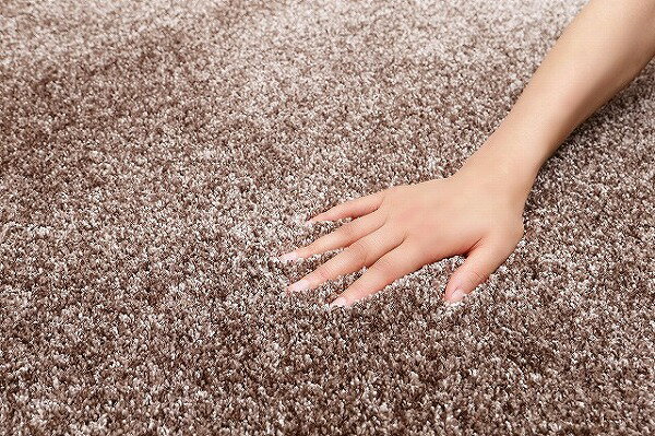 【メーカー直送】 カーペット ラグ マット 約176×261cm 江戸間3畳 ベージュ おしゃれ・防炎・抗菌・ホットカーペット対応・床暖房対応・抗ウイルス・防ダニ・遊び毛が出にくい・日本製 220123001 ジェイド Prevell [2]