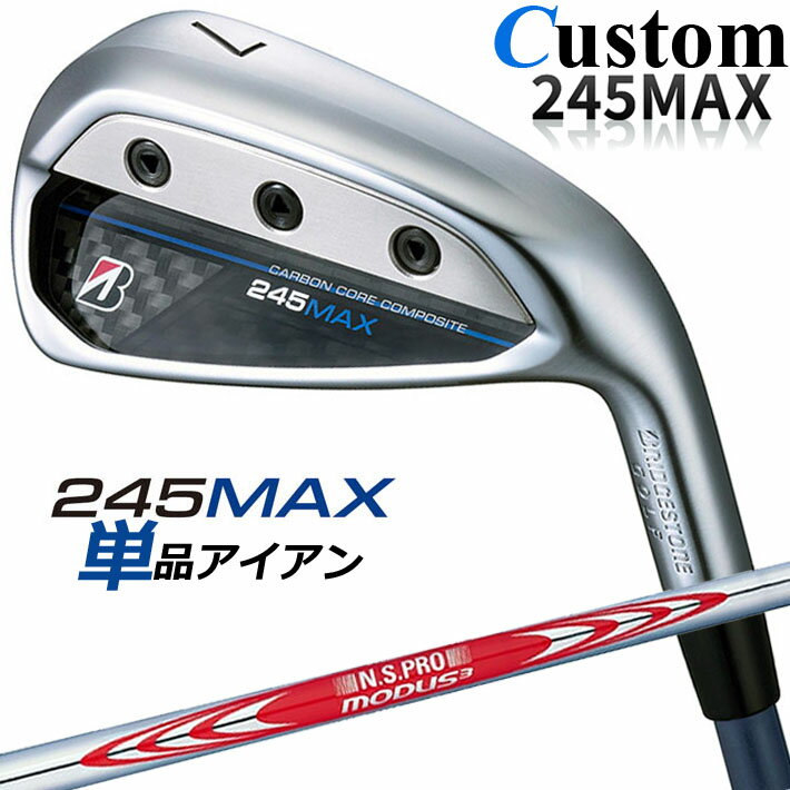 ڥ᡼ۥ֥¥ȥ 245MAX ñʥ (#6AWSW)  N.S.PRO MODUS3 TOUR 120 ...