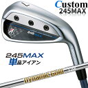 【メーカーカスタム】ブリヂストン 245MAX 単品アイアン (#6、AW、SW) 右用 Dynamic Gold HT スチールシャフト BRIDGESTON...
