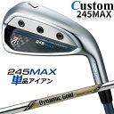 【メーカーカスタム】ブリヂストン 245MAX 単品アイアン (#6、AW、SW) 右用 Dynamic Gold EX TOUR ISSUE スチールシャフト...