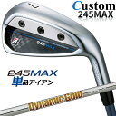 【メーカーカスタム】ブリヂストン 245MAX 単品アイアン (#6、AW、SW) 右用 Dynamic Gold 95 スチールシャフト BRIDGESTON...