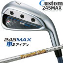【メーカーカスタム】ブリヂストン 245MAX 単品アイアン (#6、AW、SW) 右用 Dynamic Gold 105 スチールシャフト BRIDGESTO...