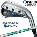 【メーカーカスタム】ブリヂストン 245MAX 単品アイアン (#6、AW、SW) 右用 N.S.PRO 750GH neo スチールシャフト BRIDGESTONE GOLF 2024