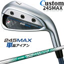 y[J[JX^zuaXg 245MAX PiACA (#6AAWASW) Ep N.S.PRO 750GH neo X`[Vtg BRIDGESTONE GOLF 2024