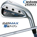 【メーカーカスタム】ブリヂストン 245MAX 単品アイアン (#6、AW、SW) 右用 N.S.PRO 950GH スチールシャフト BRIDGESTONE GOLF 2024