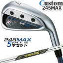 y[J[JX^zuaXg 245MAX ACA 5{Zbg (#7-9AP1AP2) Ep Dynamic Gold MID TOUR ISSUE X`[Vtg BRIDGESTONE GOLF 2024