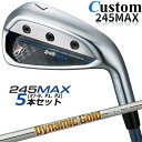 y[J[JX^zuaXg 245MAX ACA 5{Zbg (#7-9AP1AP2) Ep Dynamic Gold 95 X`[Vtg BRIDGESTONE GOLF 2024