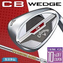 y[J[JX^zLEFC CB EFbW 2023 Ep Dynamic Gold HT X`[Vtg{Ki Callaway CB WEDGE