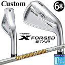 【メーカーカスタム】キャロウェイ X FORGED STAR 2024 右用 アイアン 6本セット (＃5-PW) Dynamic Gold 95 スチールシャフト 日本正規品 Callaway