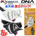 [p/p] LXR fB[GkG[ VR[ fBX StO[u SF-2312L(4581) Kasco DNA SILICONE WOMEN'S GOLF GLOVE zCg ubN 18`21cm St [{Ki] [lR|X֑Ή] [2023Nf]