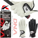 LXR fB[EGkEG[ XgO Y St O[u Kasco DNA STRONG MEN'S GOLF GLOVE/ p SFST-2312 zCg ubN 21`26cm [2023Nf] [lR|X֑Ή]