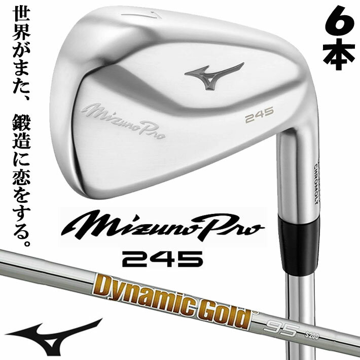 ߥ MIZUNO PRO 245  ߥ ץ 6ܥå(#5-PW)  Dynamic Gold 95 륷...