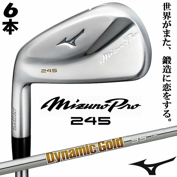 ڥեƥ/ѡۥߥ MIZUNO PRO 245  ߥ ץ 6ܥå(#5-PW) Dynamic Gold 95 ...