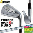 EFCgEObv(JX^) ONOFF FORGED IRON KURO Imt tH[Wh ACA N  5{Zbg(I#6`#9,PW) N.S.PRO 950GH X`[Vtg [O[uCh] [GLOBERIDE] [{Ki] [2024Nf] []