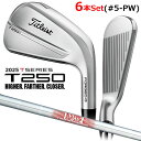 【8/22発売ご予約】タイトリスト T250 4G 2025 アイアン 6本セット(#5-PW) N.S.PRO 880 AMC スチールシャフト メンズ 右用 ゴルフ Titleist 日本正規品