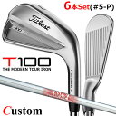 【メーカーカスタム】タイトリスト T100 2023 アイアン 右用 6本セット(#5-P) N.S.PRO 880 AMC スチールシャフトTitleist ...
