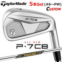 【メーカーカスタム】テーラーメイド P7CB 2024 アイアン 5本セット(#6-PW) 右用 Dynamic Gold MID 115 スチールシャフト 日...