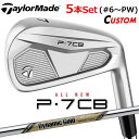 【メーカーカスタム】テーラーメイド P7CB 2024 アイアン 5本セット(#6-PW) 右用 Dynamic Gold EX TOUR ISSUE スチール...