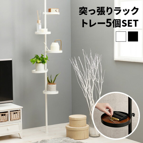 4タイプ] 突っ張りラック DISH