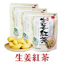 【送料無料】生姜紅茶 ティーパック 20ケ入×3袋セット ジンジャーティー 国産 熊本産生姜 ジンゲロール 女性 冷え しょうが ショウガ メール便限定(代引不...