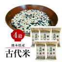 熊本産古代米 4穀 200g×5袋 お得なまとめ買い 赤米 黒米 緑米 発芽玄米 GABA お試し 送料無料 メール便限定 【代引不可】 1