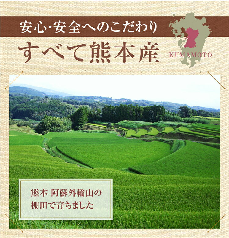 熊本産 古代米 4穀 200g 赤米 黒米 緑米 発芽玄米 GABA お試し 国産 送料無料 メール便限定 【代引不可】 2