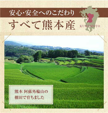 熊本産 雑穀米 8穀 200g×5袋 お得なまとめ買い 赤米 黒米 緑米 発芽玄米 ひえ きび あわ 押麦 GABA お試し 国産雑穀米 送料無料 メール便限定 【代引不可】