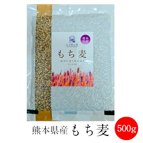 熊本産 もち麦 500gダイシモチ 食物繊維 水溶性 β-グルカン 国産 送料無料 メール便限定 【代引不可】