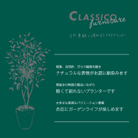 ブランドClassicofurniture